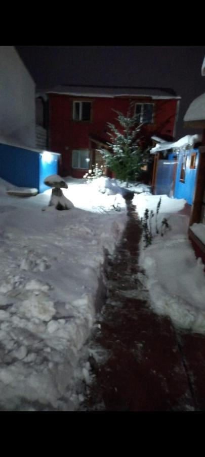 Ushuaia Centro Complejo De Cabanas Εξωτερικό φωτογραφία